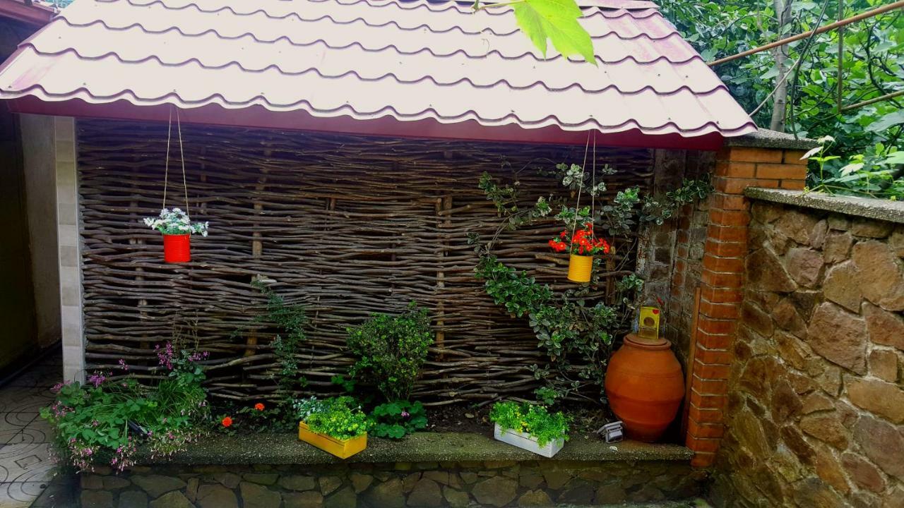 Green House In Batumi Ngoại thất bức ảnh